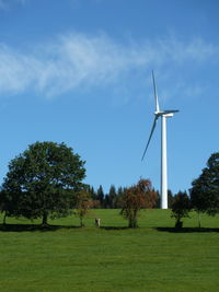 Trees on field against sky