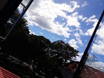 Low angle view of trees against sky