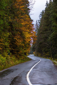 Empty road amidst trees in forest