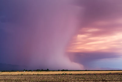 Scenic view of agricultural field against sky during sunset