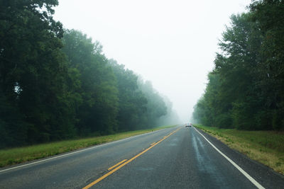 Road amidst trees against clear sky