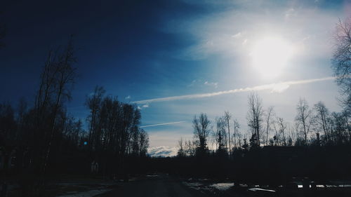 Sun shining through trees