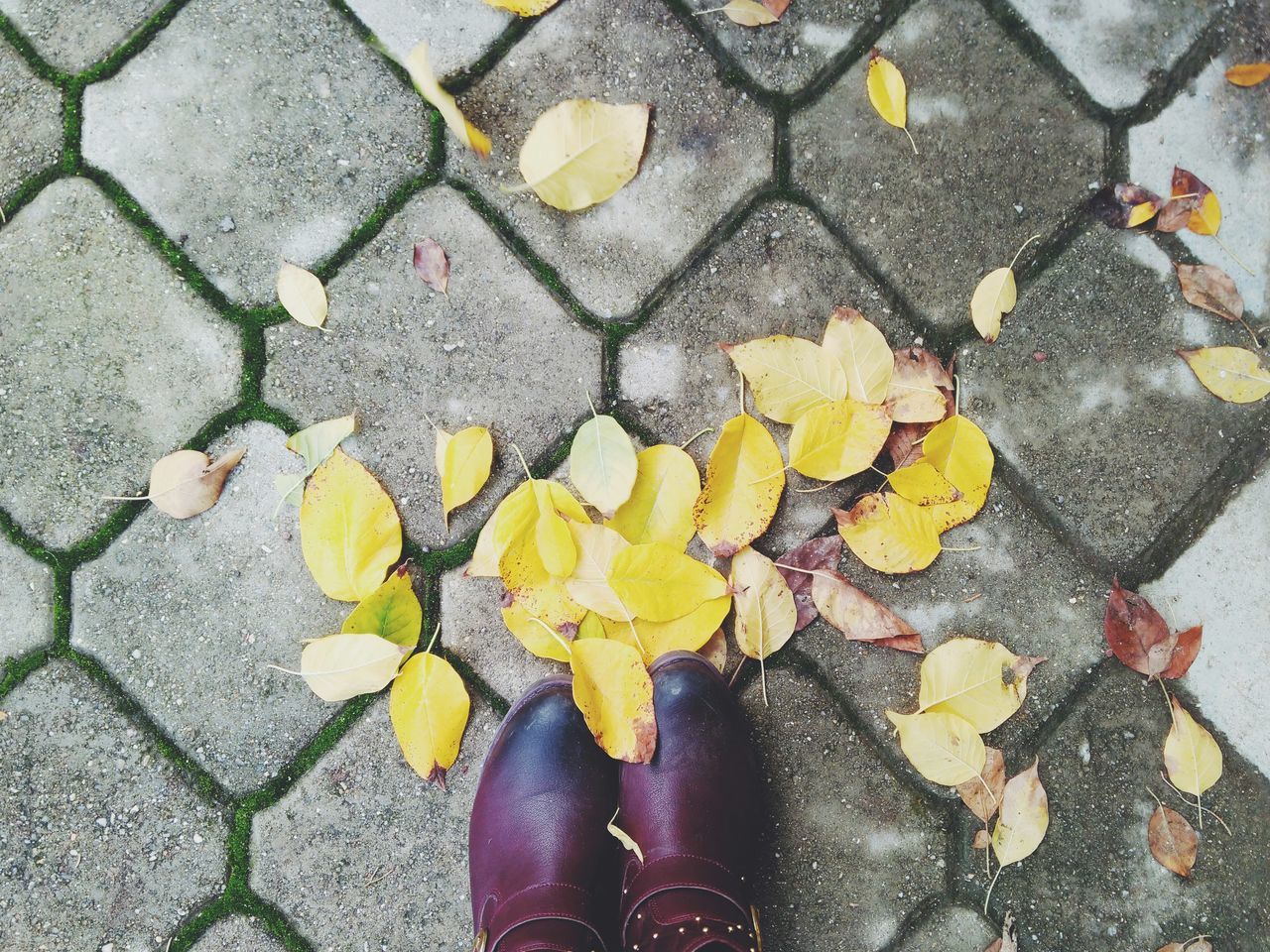 high angle view, street, leaf, cobblestone, yellow, autumn, fallen, paving stone, sidewalk, footpath, asphalt, dry, road, outdoors, day, change, leaves, ground, season, pavement