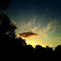 Silhouette trees against sky during sunset