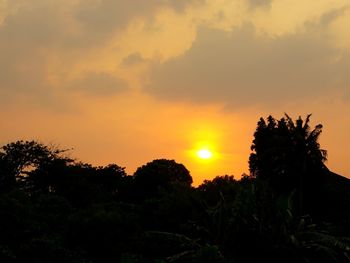 Low angle view of silhouette trees against sky during sunset