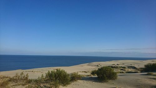 Scenic view of sea against clear blue sky