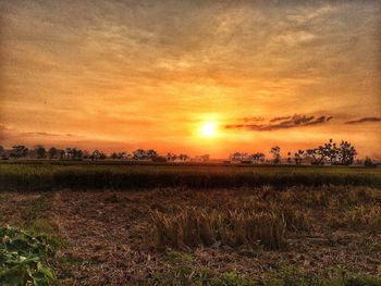 Scenic view of field against sky at sunset