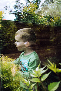 Full length of woman looking through glass of tree