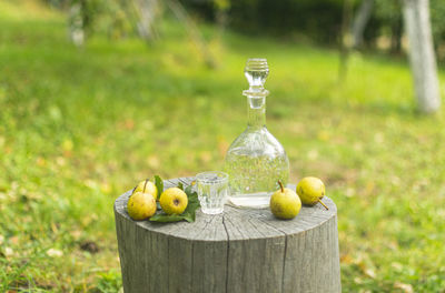 Fruits on table in field