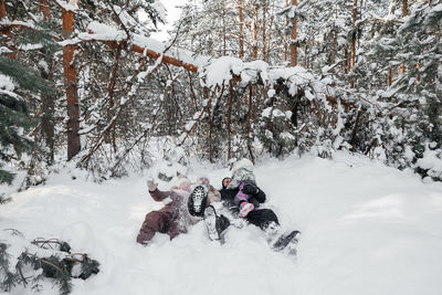 Dad and mom and daughters lying in the snow in the winter forest. high quality photo
