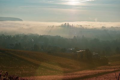 Scenic view of field against sky