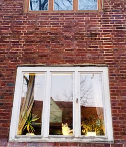 Low angle view of window on brick wall