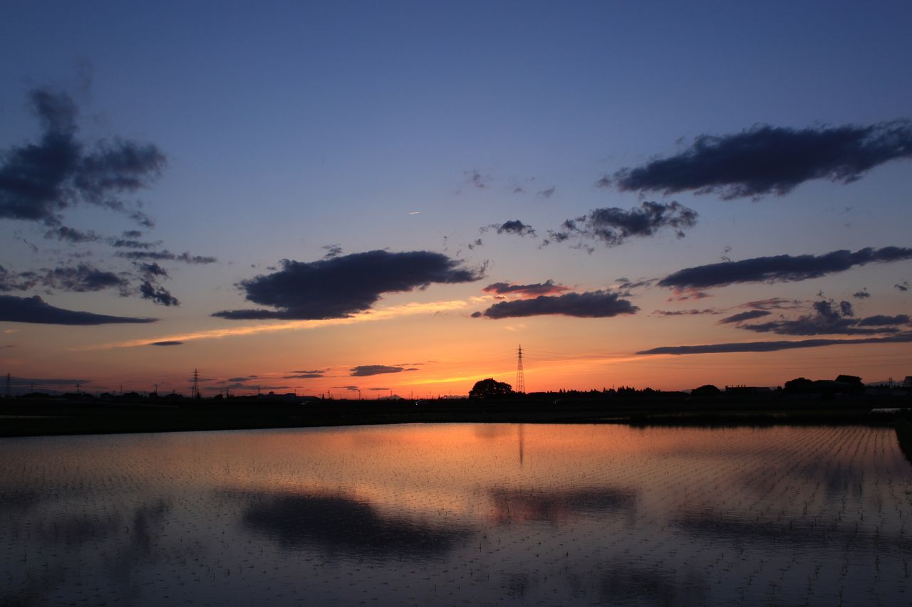 sunset, reflection, orange color, sky, water, silhouette, cloud - sky, architecture, no people, nature, built structure, beauty in nature, outdoors, building exterior, tree