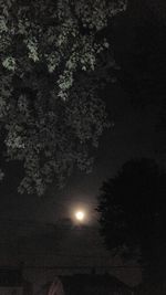 Scenic view of moon at night