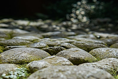 Close-up of stones on rock