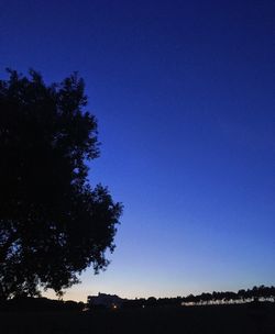 Silhouette trees against clear blue sky at night