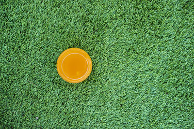 Directly above shot of frisbee on grass