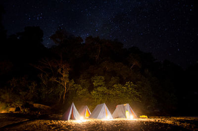 Illuminated tents against trees at night
