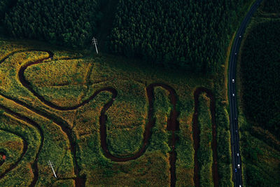 Overhead view from helicopter of river snaking through fields on kauai, hawaii.