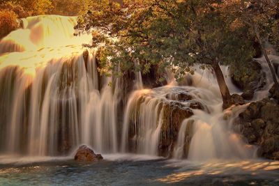 Scenic view of waterfall in forest