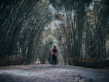 Rear view of woman standing amidst trees in forest