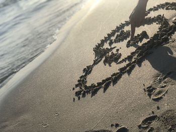 High angle view of footprints on sand at beach