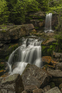 Scenic view of waterfall in forest