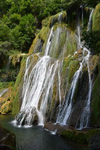 Scenic view of waterfall in forest