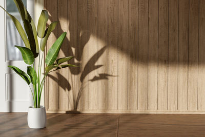 Potted plant on table at home