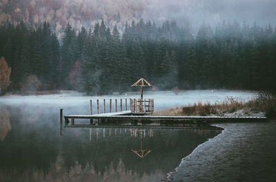 Jetty on lake against trees during foggy weather