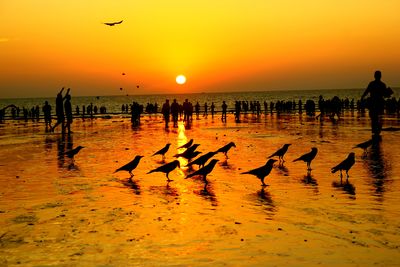 Silhouette birds on sea against sky during sunset