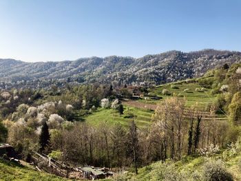 Scenic view of landscape against clear sky