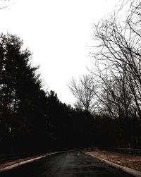 Road amidst trees against clear sky