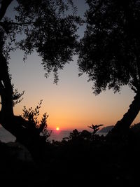 Silhouette trees against sky during sunset