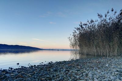 Scenic view of lake against sky during sunset