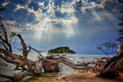 Scenic view of beach against sky