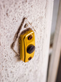 Close-up of yellow flower