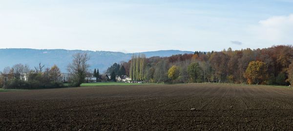 Scenic view of field against sky