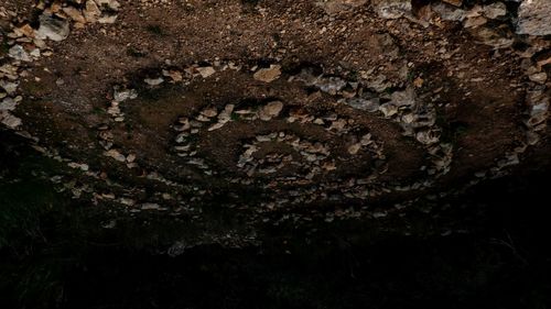 High angle view of text on tree trunk