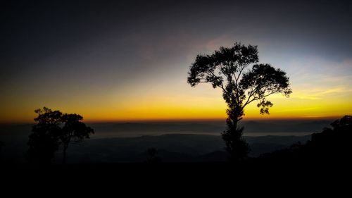 Silhouette trees on landscape against sky during sunset
