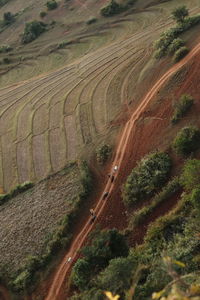 High angle view of road on field