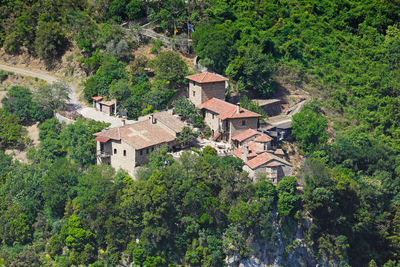 High angle view of trees and buildings