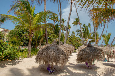 Palm trees on beach against sky