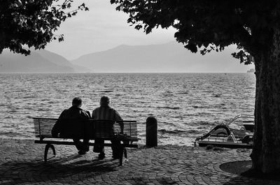 Rear view of men sitting on bench at lakeshore