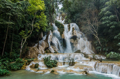 Scenic view of waterfall in forest