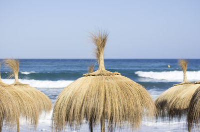 Thatched beach umbrellas against sea