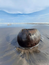 Close-up of water on beach against sky