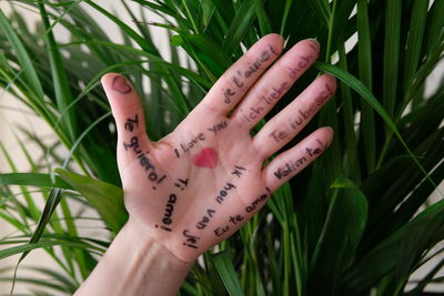 Cropped hand of woman with i love text in various languages. 