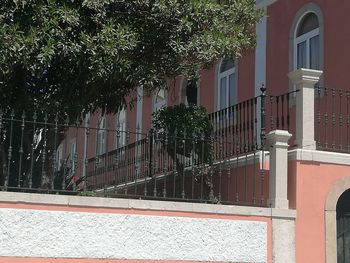 Panoramic view of trees