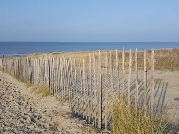 Scenic view of beach